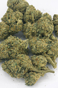 Jealousy Driver — Platinum Tier Indoor THCA Hemp Flower