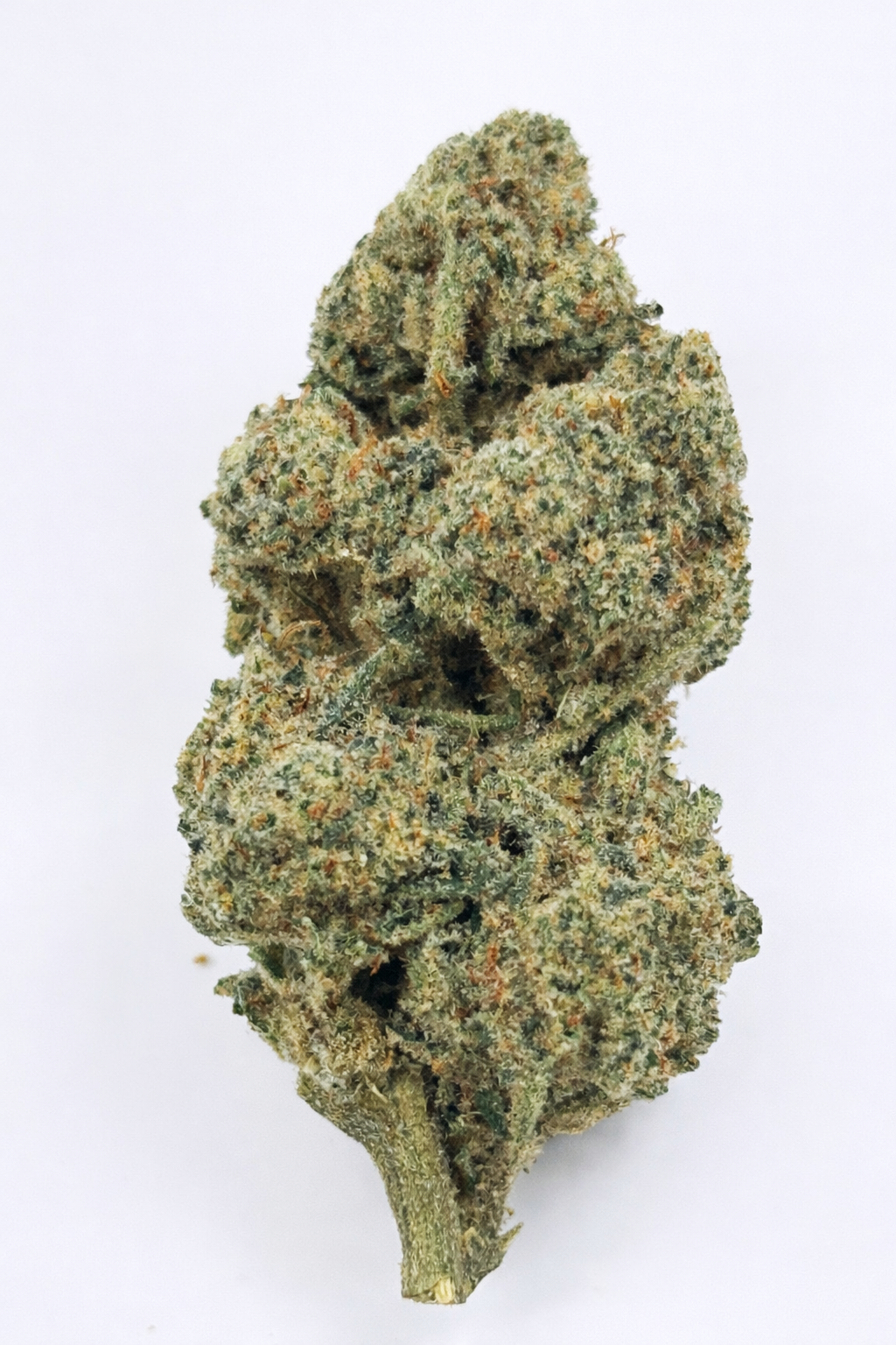 Jealousy Driver — Platinum Tier Indoor THCA Hemp Flower