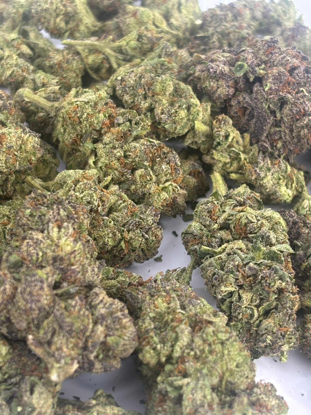 🍒 BLACK CHERRY GELATO EXOTIC — DIAMOND TIER