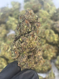 🍒 BLACK CHERRY GELATO EXOTIC — DIAMOND TIER