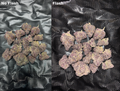 Blockberry — Diamond Tier Indoor THCA Hemp Flower