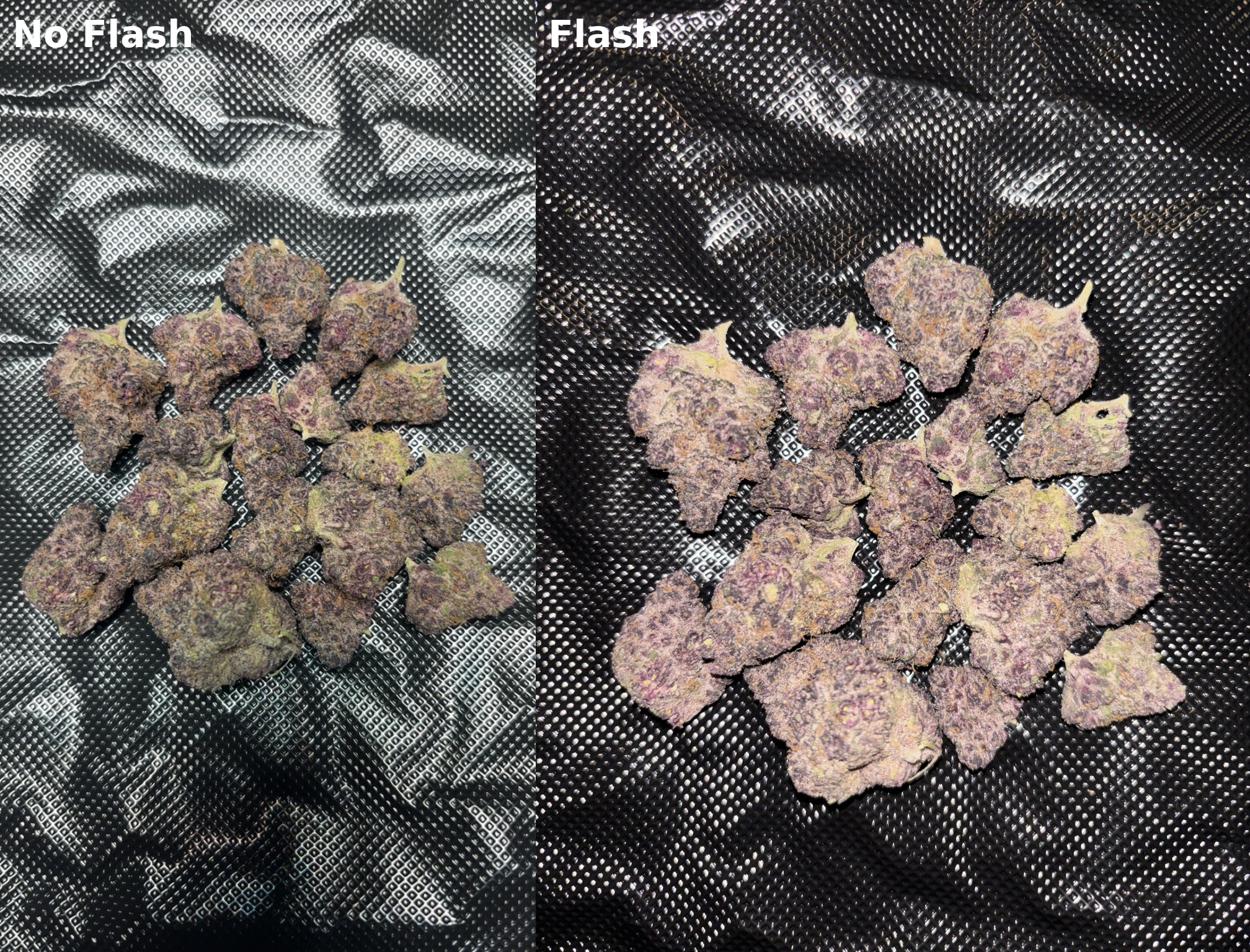 Blockberry — Diamond Tier Indoor THCA Hemp Flower
