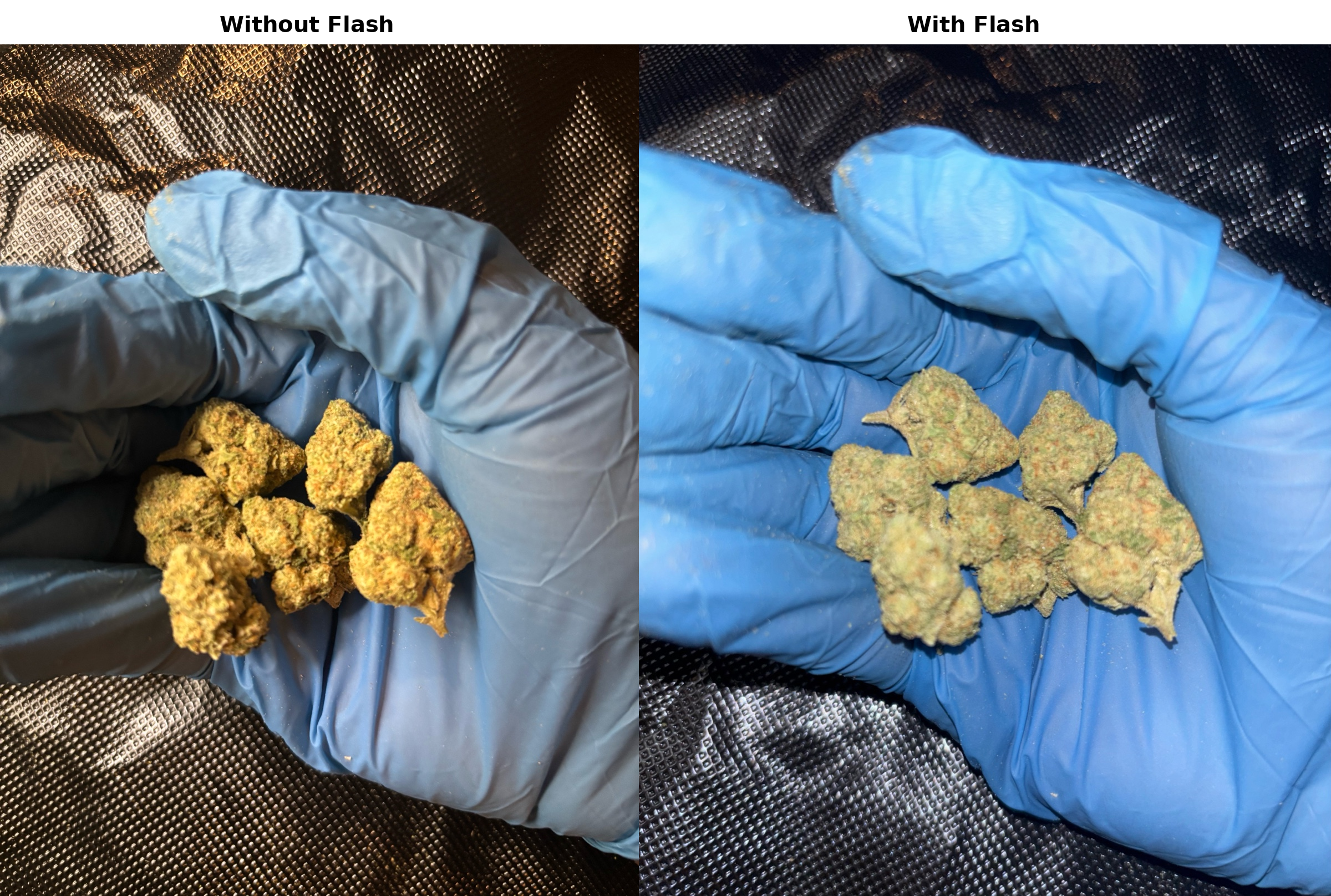 Gary Payton – Diamond Tier