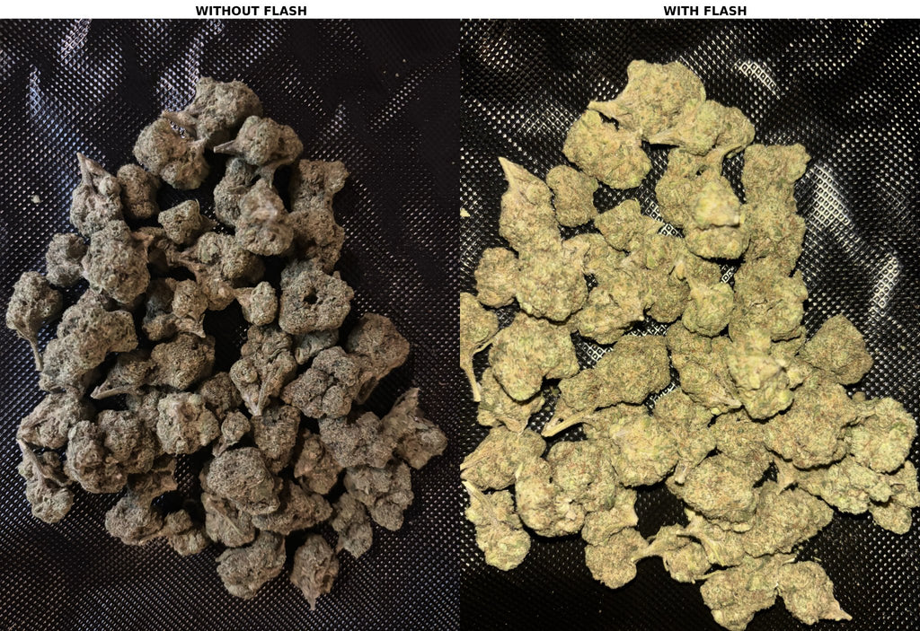 Gelato 33 – Platinum Tier