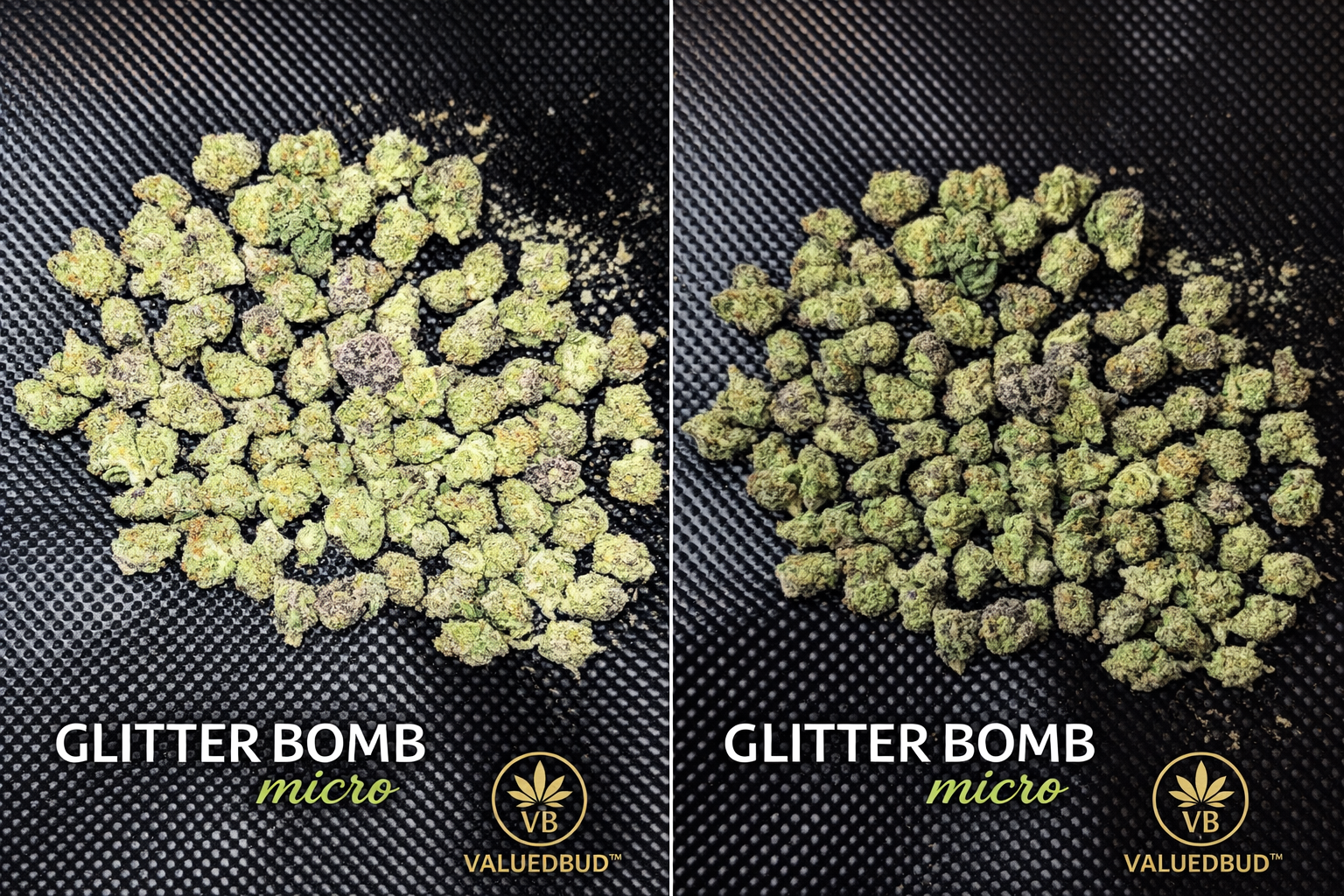 Glitter Bomb Smalls (Micros)-Gold Tier