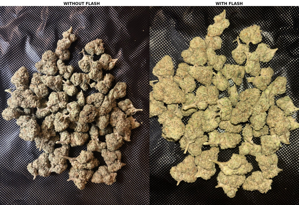 Gorilla Glue #4 – Gold Flower