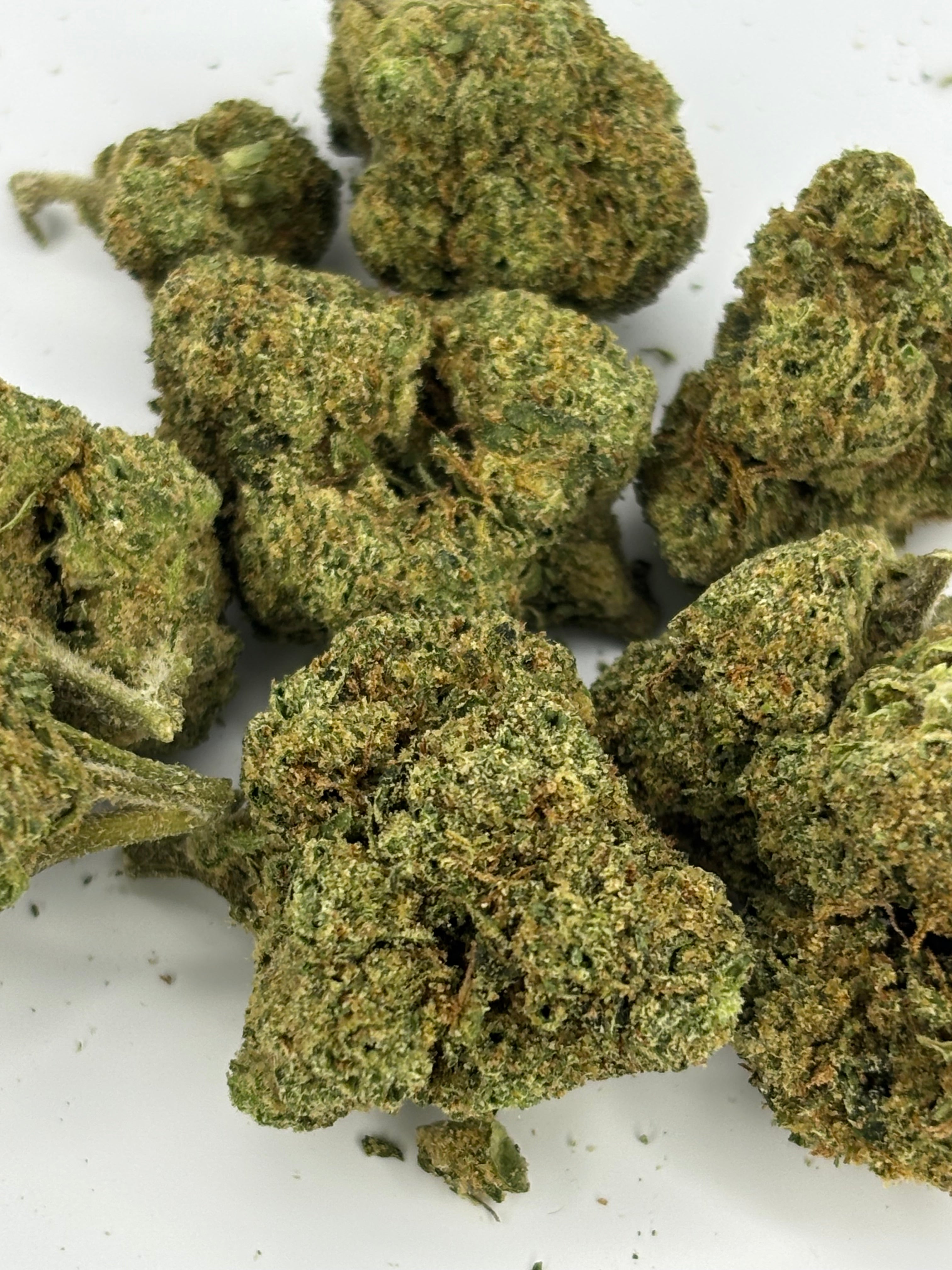 Blue Dream —  Platinum Tier Indoor THCA Hemp Flower