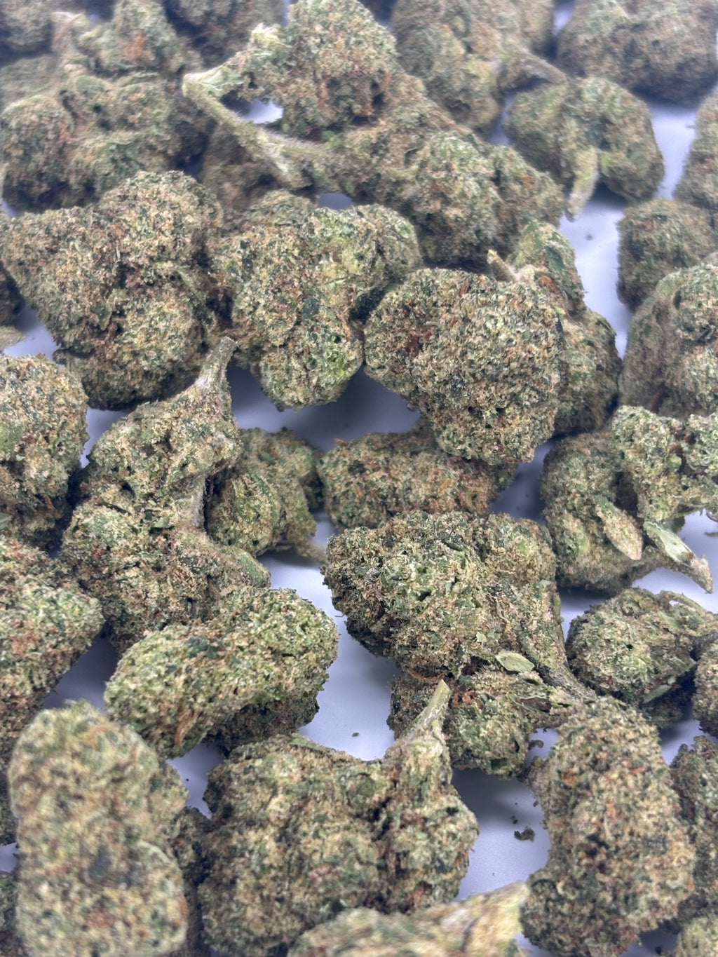 White Runtz THCA Flower – Indoor Platinum Tier Hemp