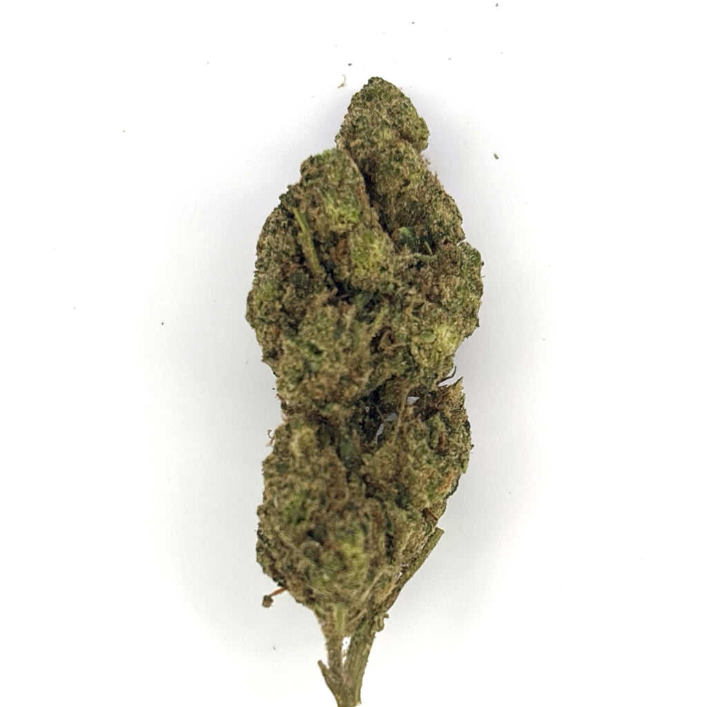 GMO (Garlic Cookies) THCA Flower – Indoor Platinum Tier Hemp