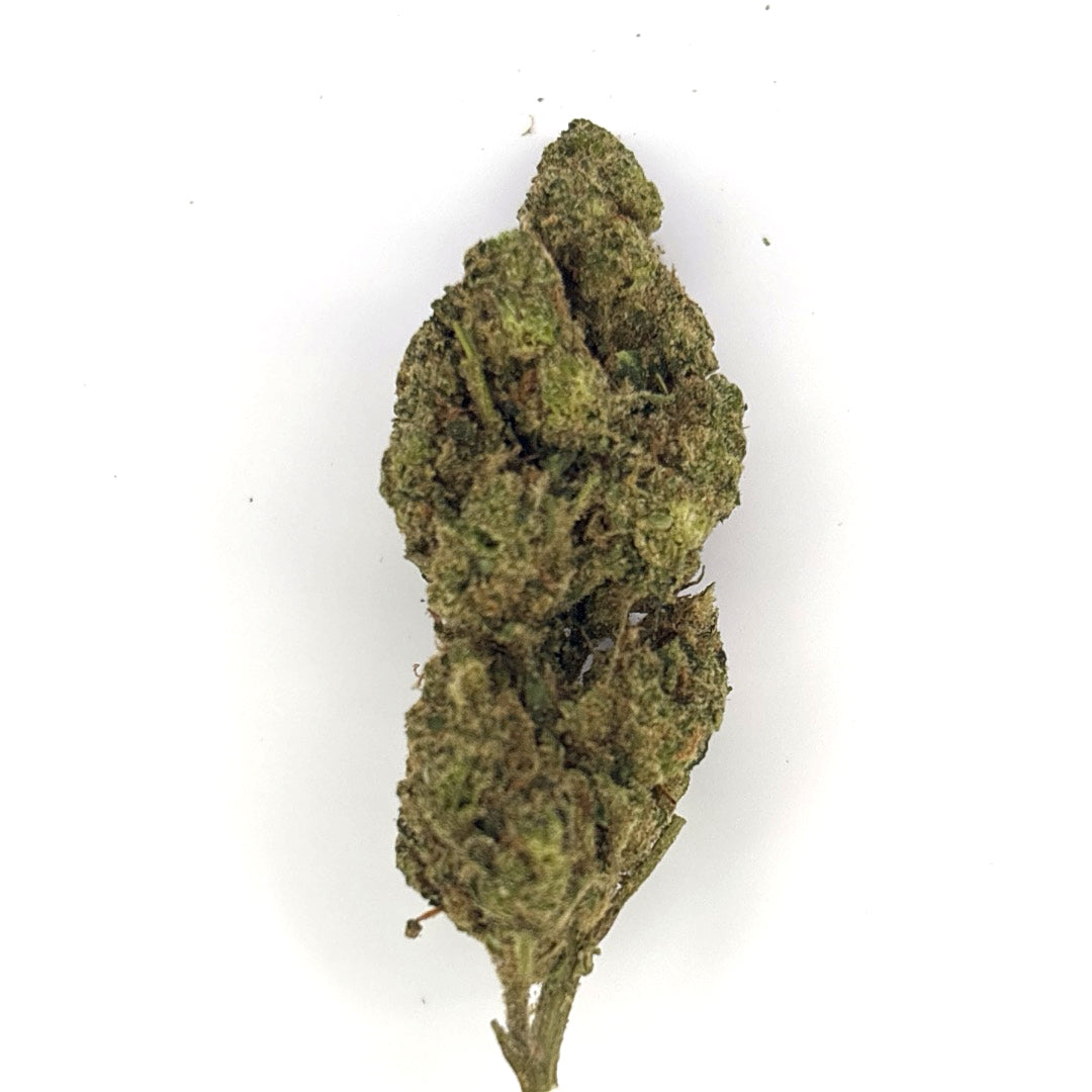 GMO (Garlic Cookies) THCA Flower – Indoor Platinum Tier Hemp