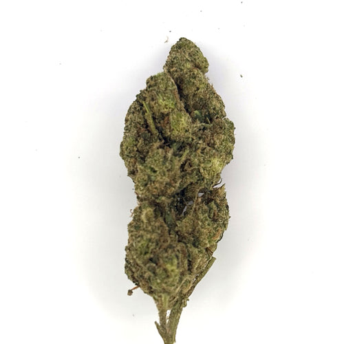 GMO (Garlic Cookies) THCA Flower – Indoor Platinum Tier Hemp