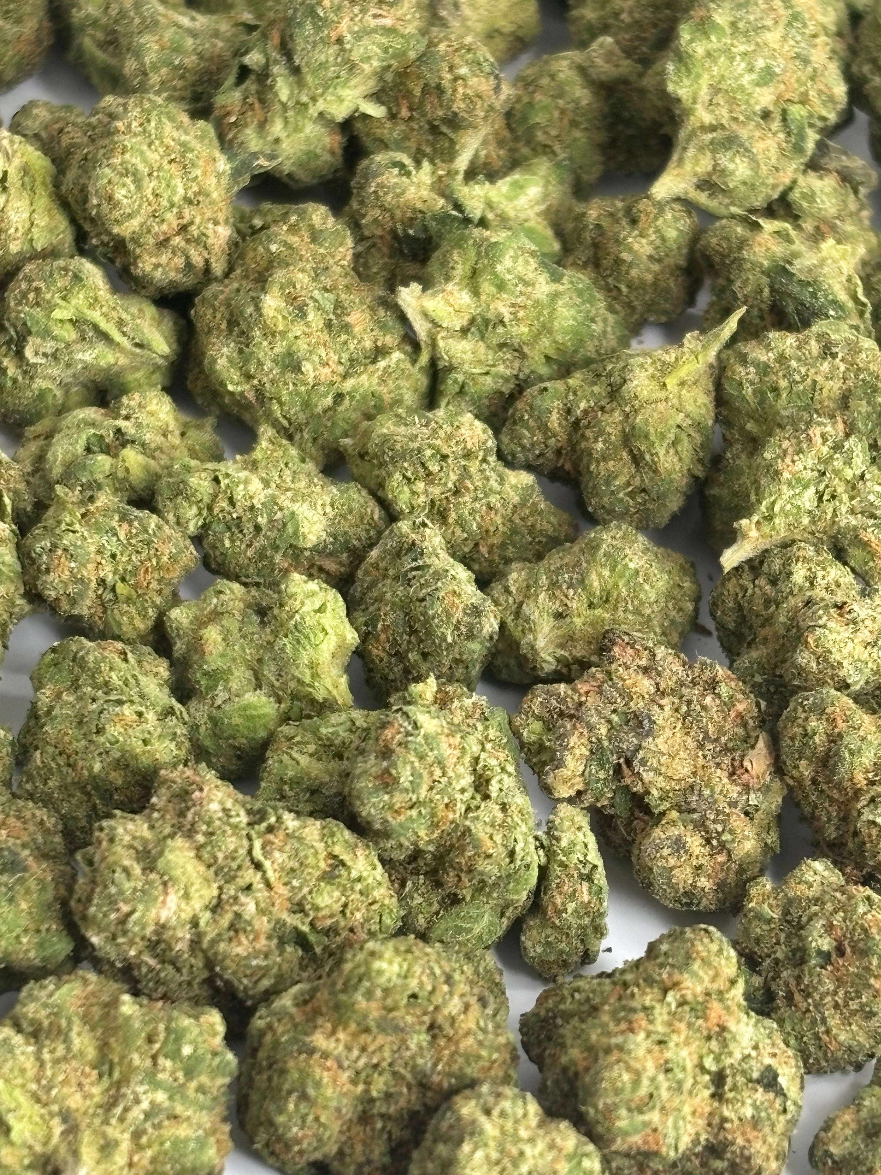 JACK HERER MEDIUMS & SMALLS — PLATINUM TIER