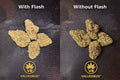Mendo Runtz — Platinum Tier Indoor THCA Hemp Flower