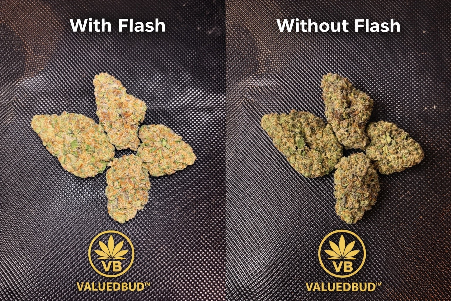 Mendo Runtz — Platinum Tier Indoor THCA Hemp Flower