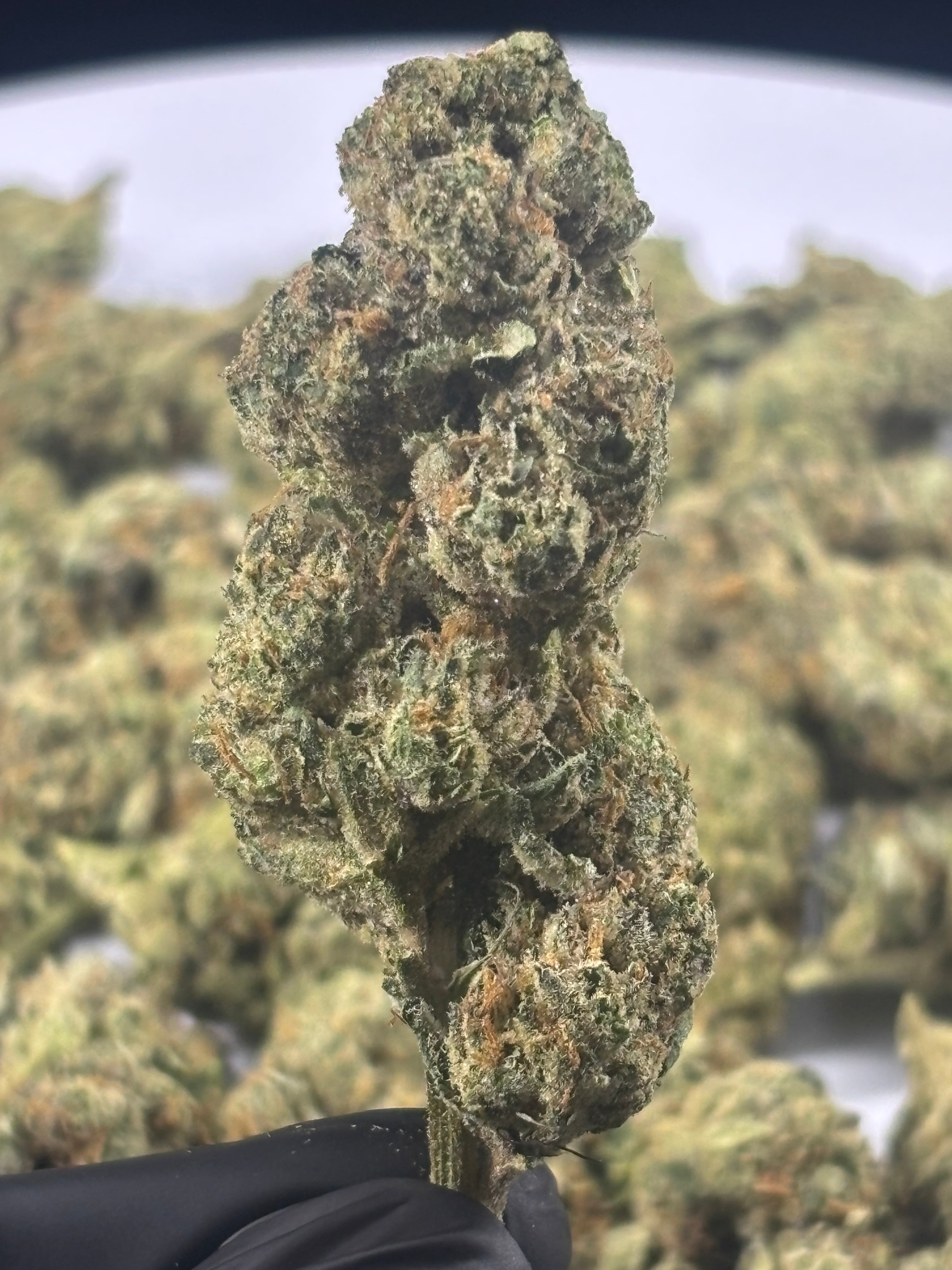 🌈 RAINBOW GAS — DIAMOND TIER