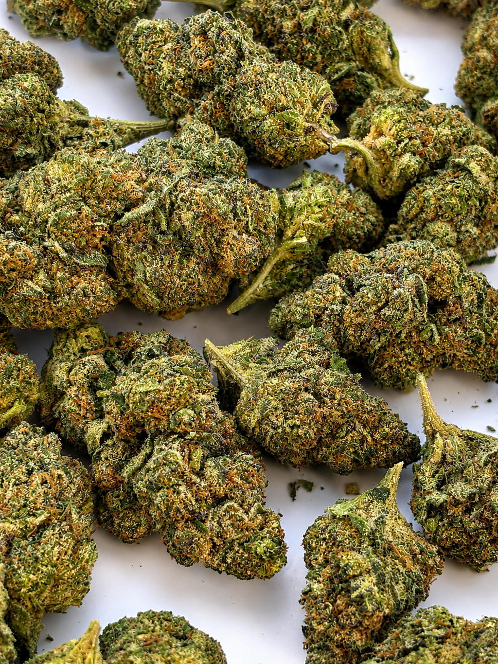 🌈 RAINBOW GAS — DIAMOND TIER