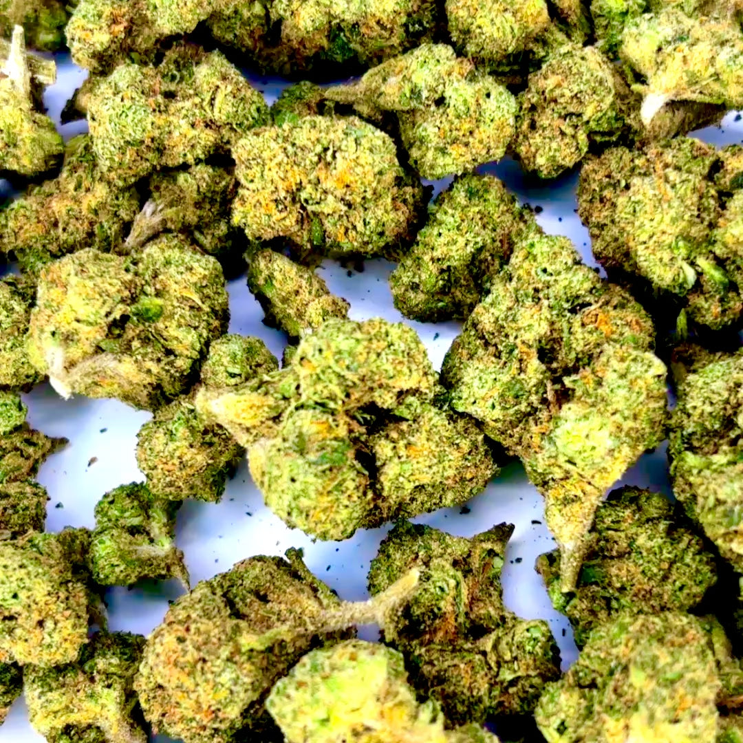 Blue Dream —  Platinum Tier Indoor THCA Hemp Flower