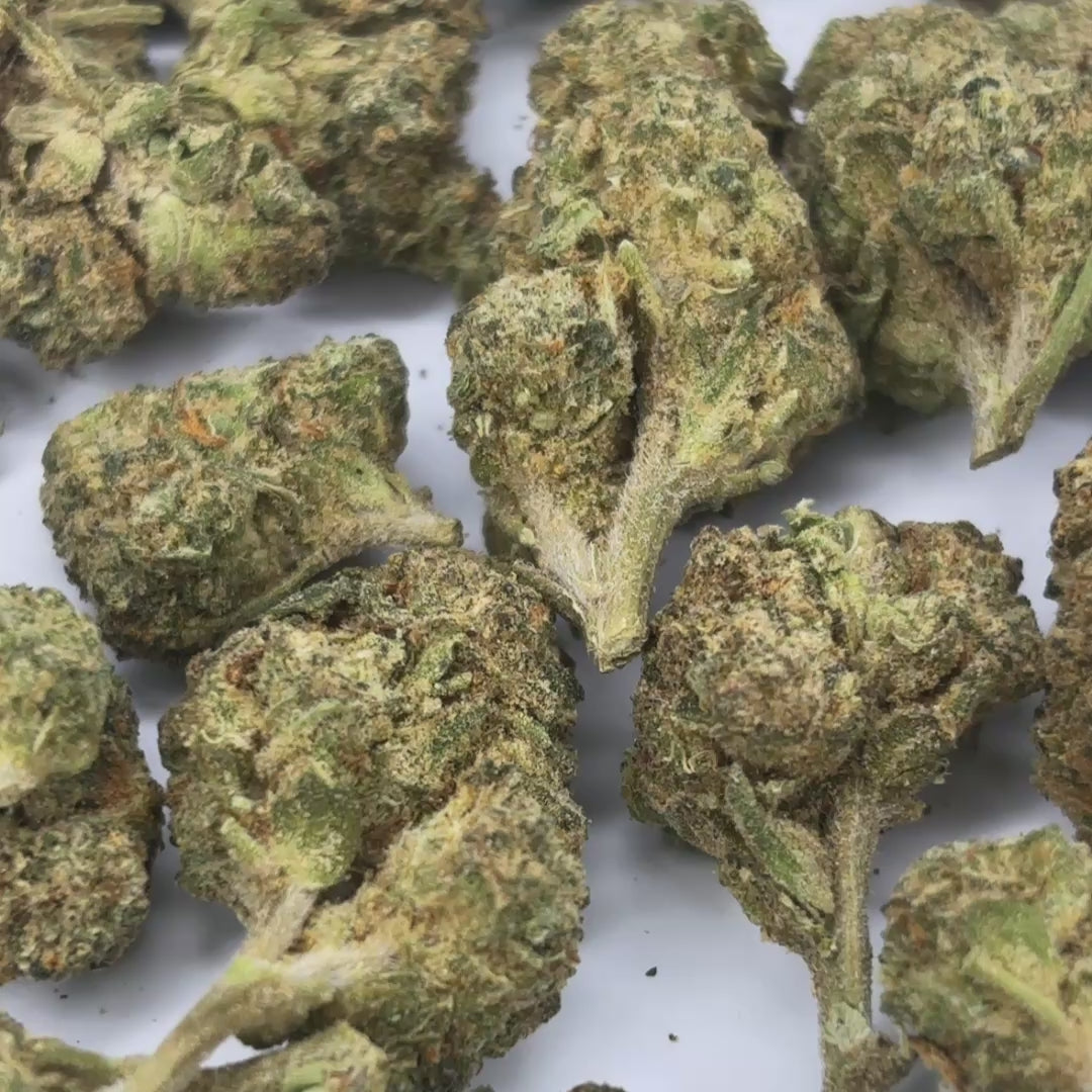 GMO (Garlic Cookies) THCA Flower – Indoor Platinum Tier Hemp