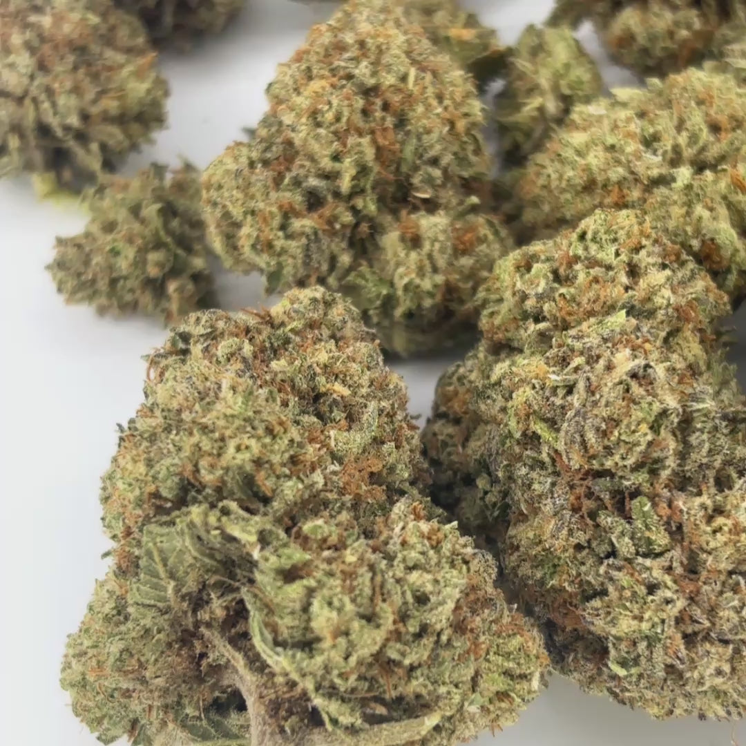 WHITE TRUFFLE — Diamond Tier