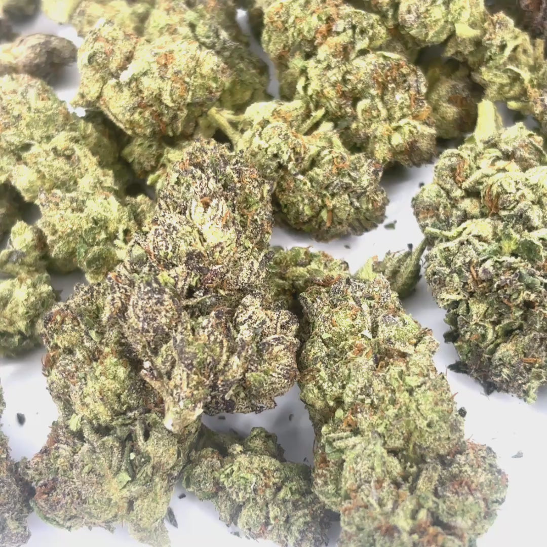 🍒 BLACK CHERRY GELATO EXOTIC — DIAMOND TIER