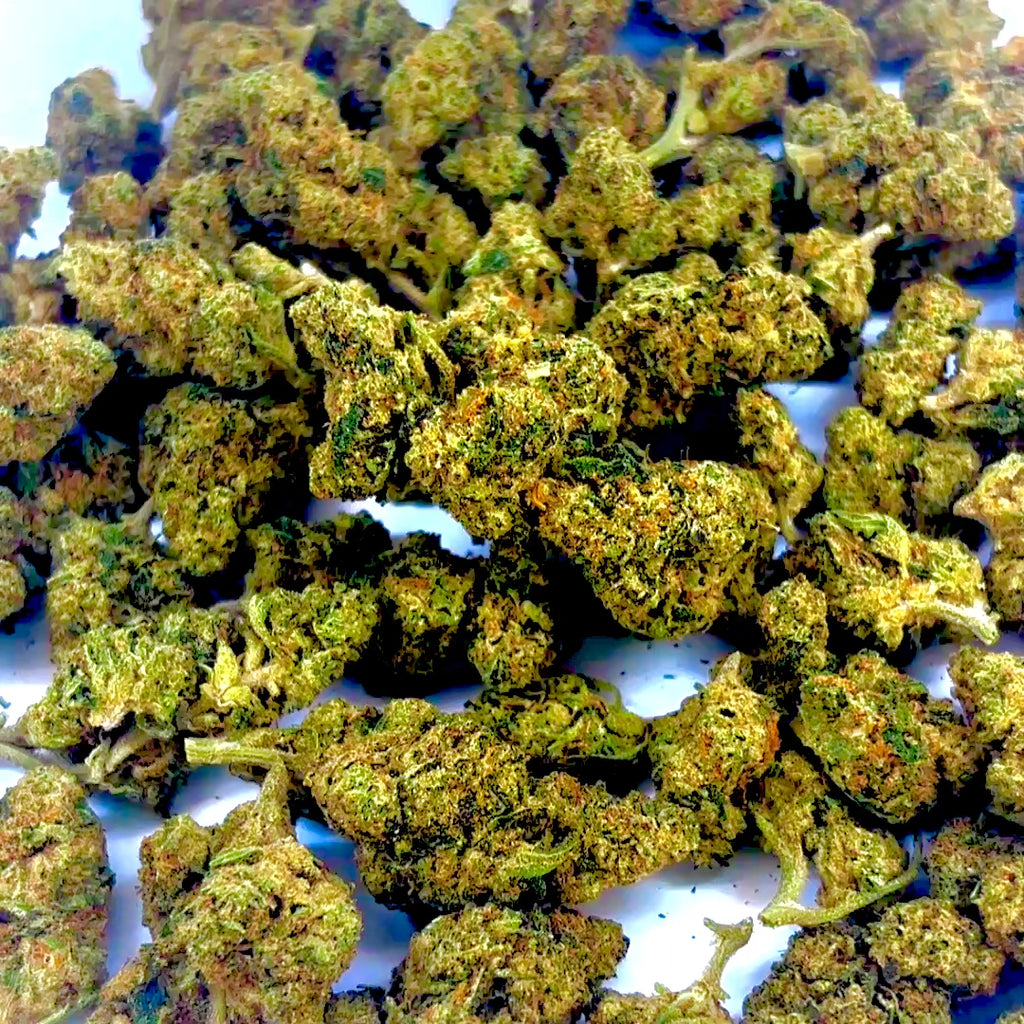 Jealousy Driver — Platinum Tier Indoor THCA Hemp Flower