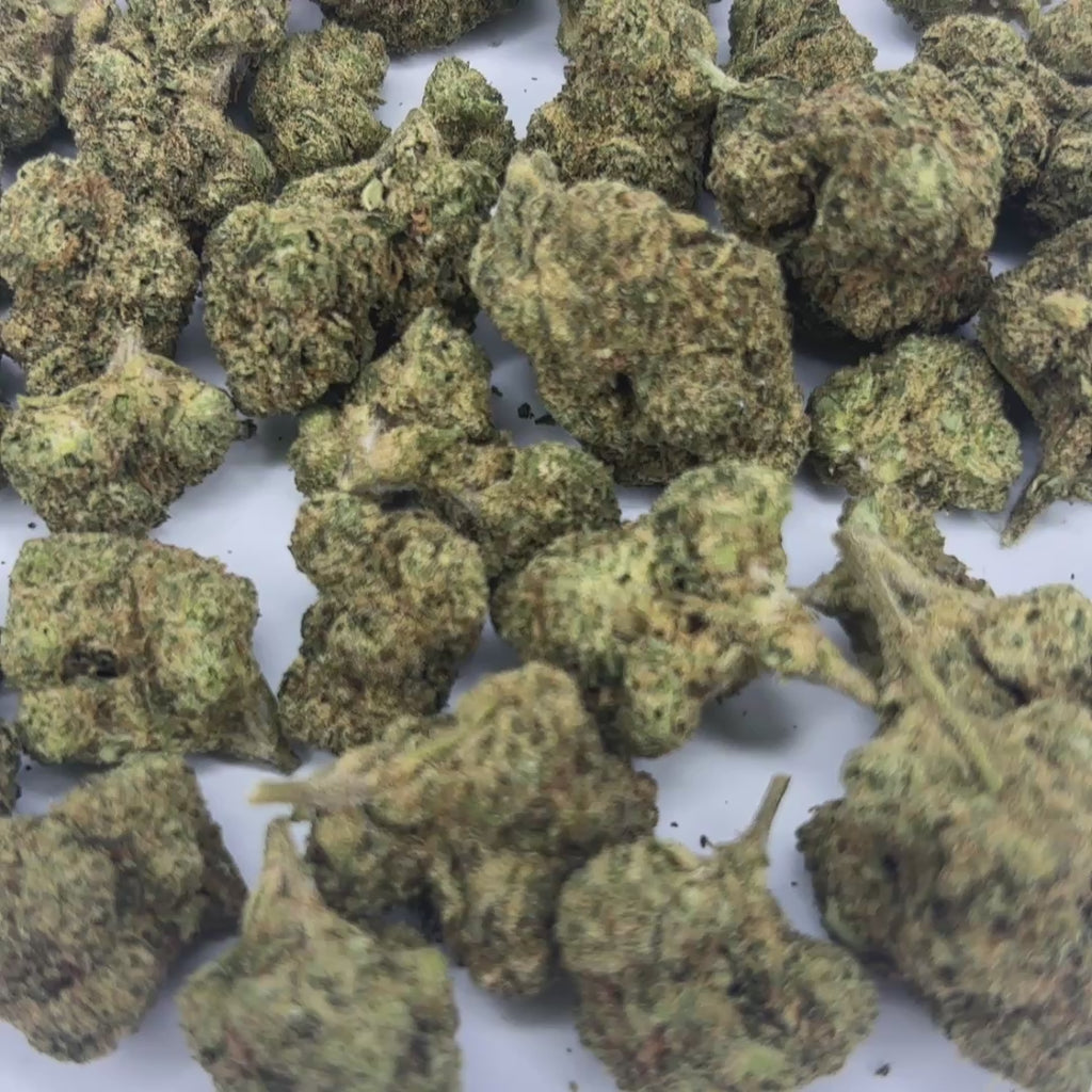 White Runtz THCA Flower – Indoor Platinum Tier Hemp